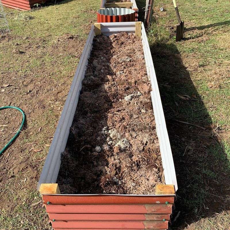 Monitor and Maintain Moisture