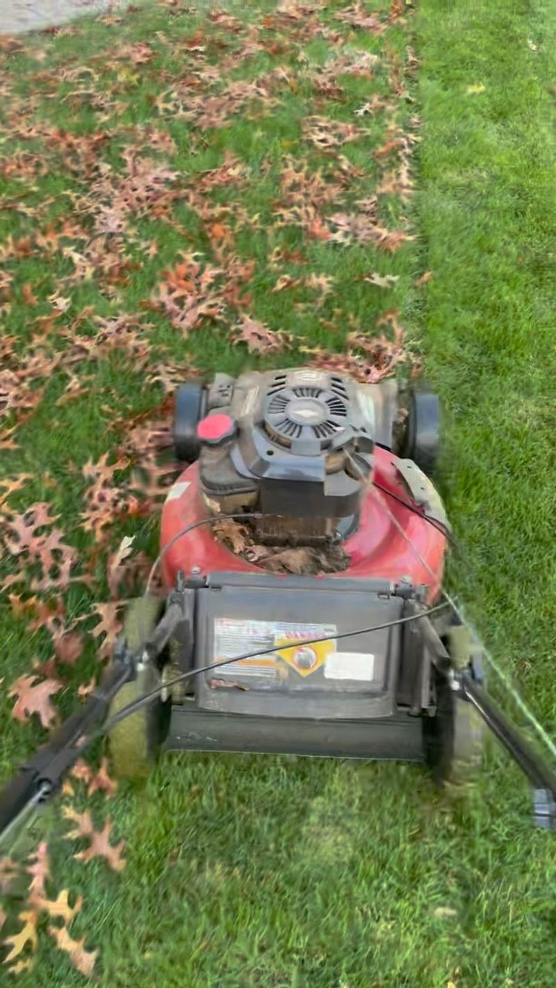 Mulching vs. Bagging Capabilities