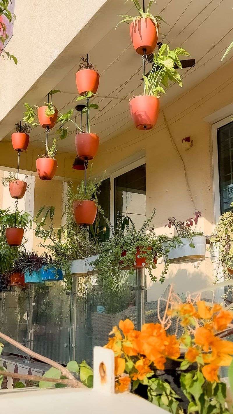 Hanging Bucket Garden