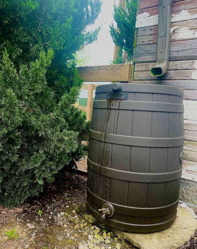 Rainwater Harvesting