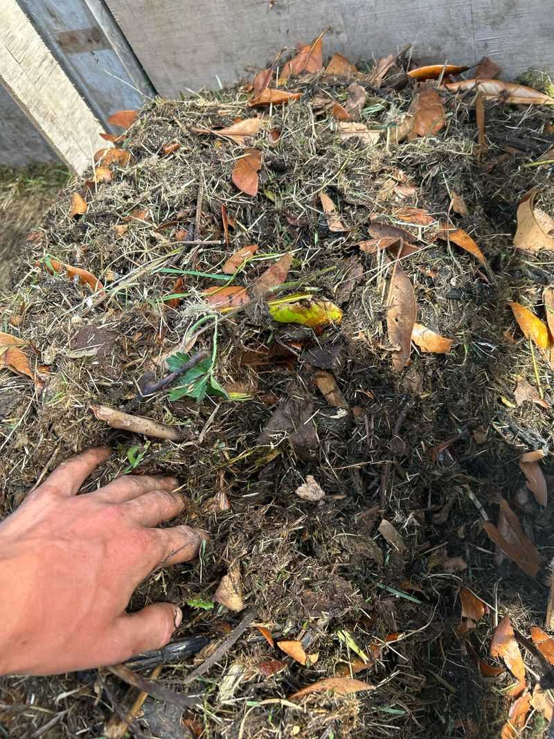Compost Boosting