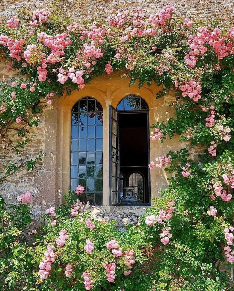 Connects You to Gardening Traditions
