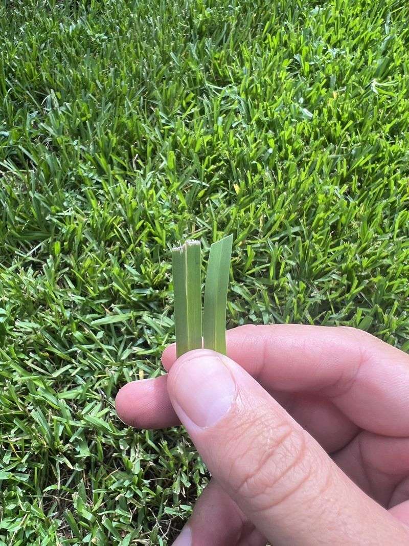 Sharpen Your Mower Blades