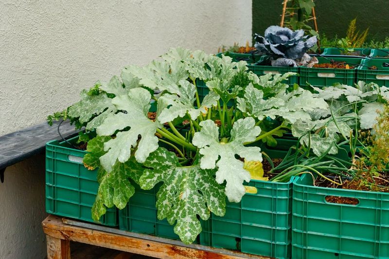 Container Relocation