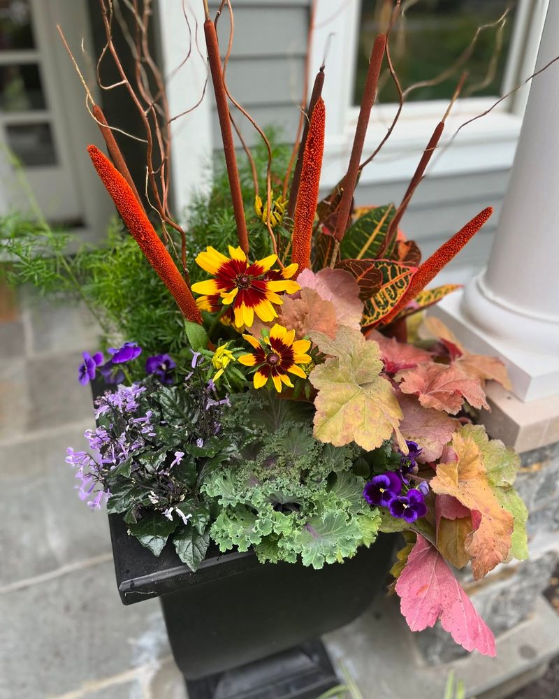 Should: Seasonal Potted Plants