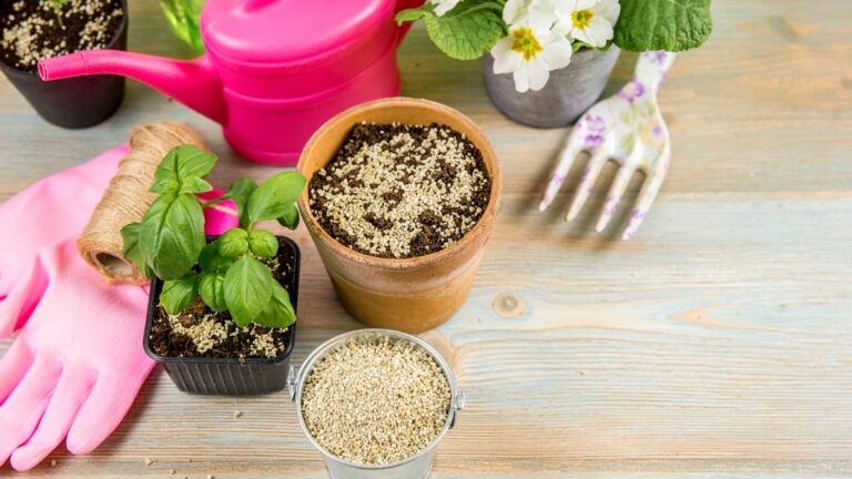 Gardening set, vermiculite granules with black gardening soi