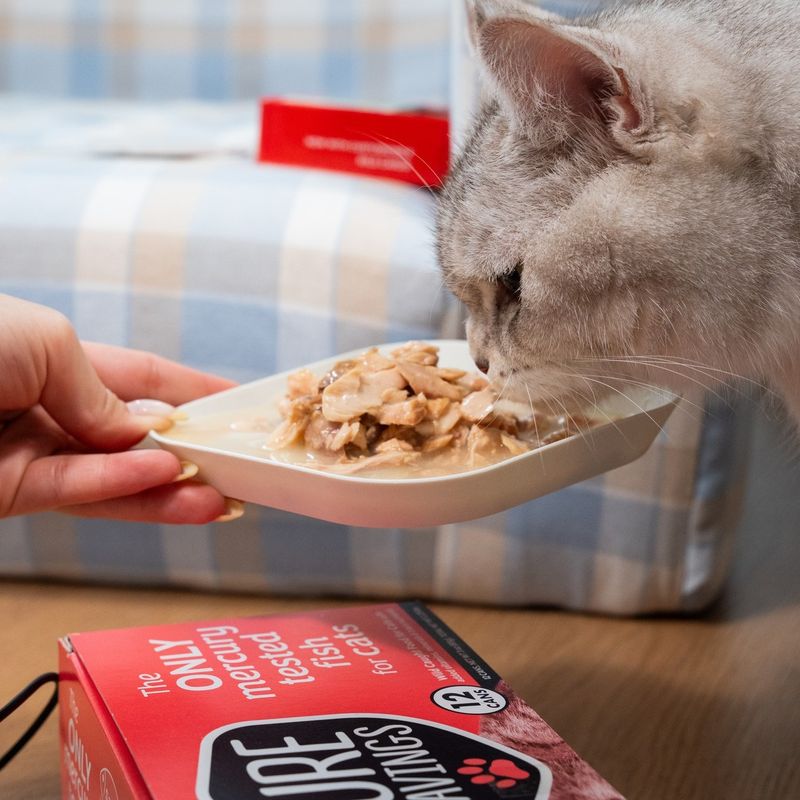 Cat Food