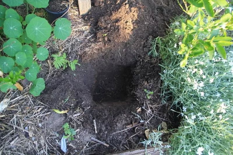Dig And Drop Composting