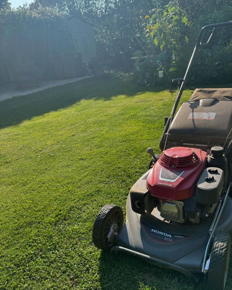Mow Frequently