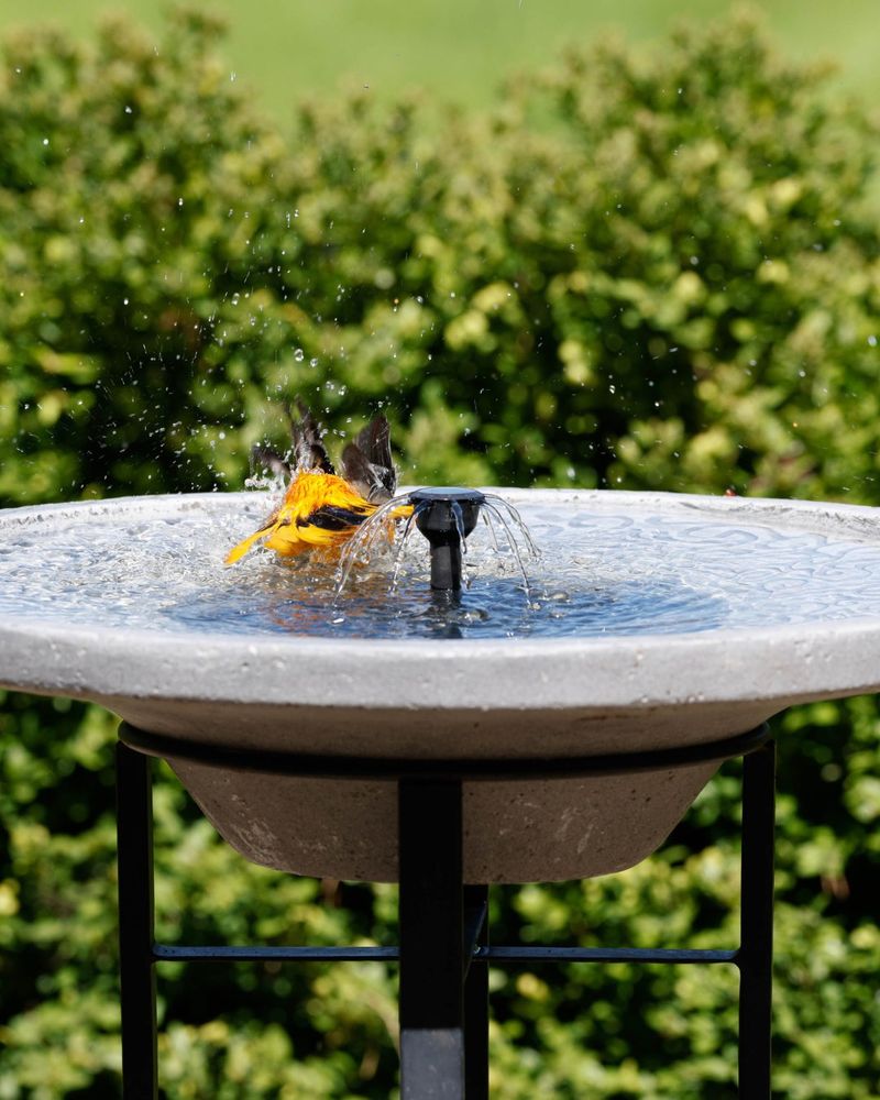 Moving Water Features