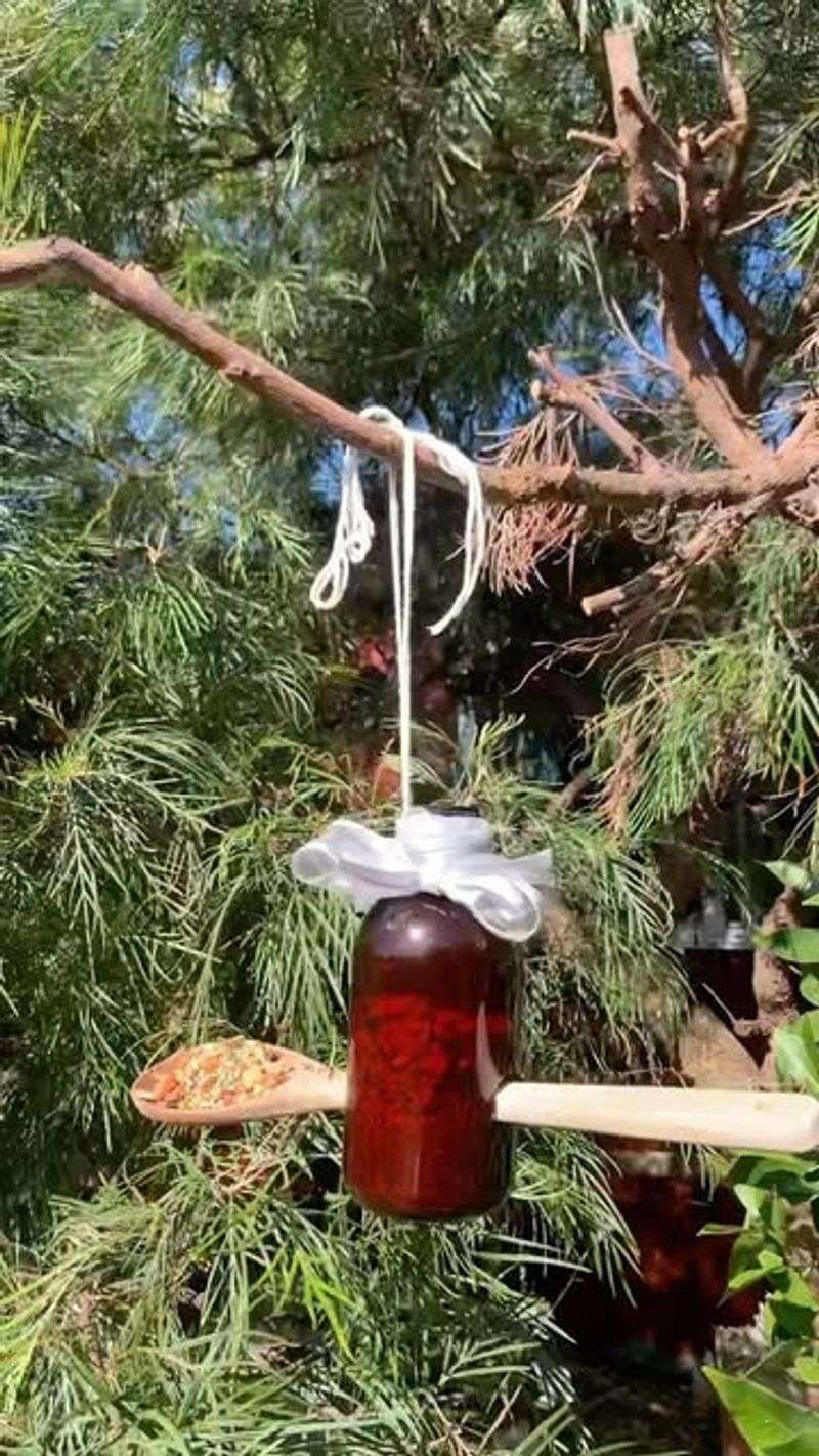Tin Can Seed Bar