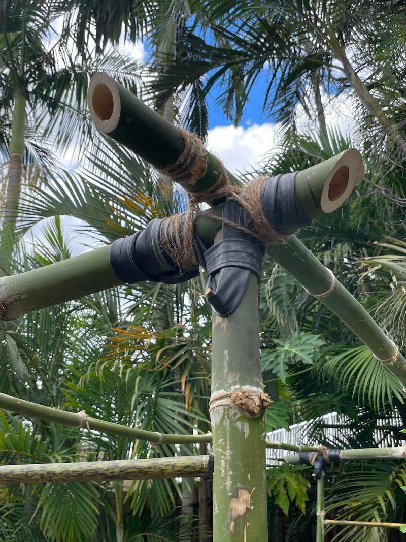 Bamboo Supports (Take-gakoi)