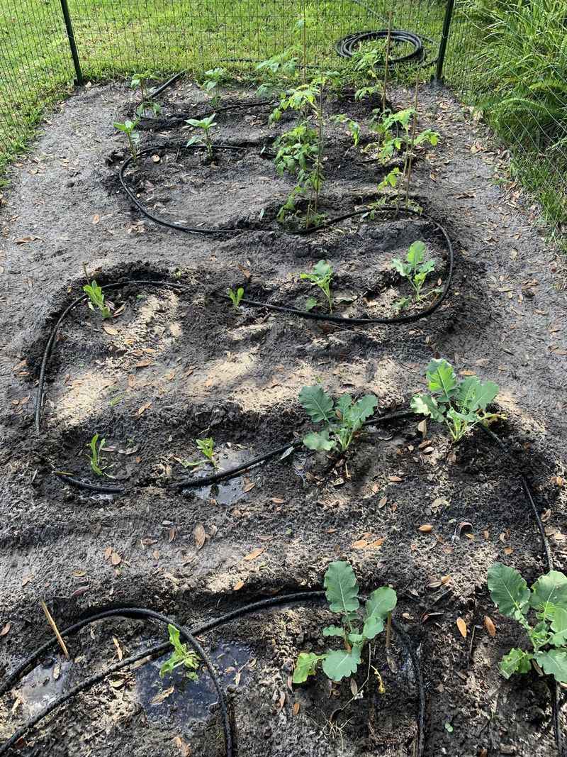 Water Management Techniques