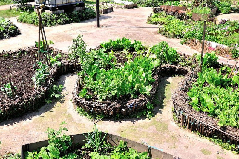 Natural Pest Management