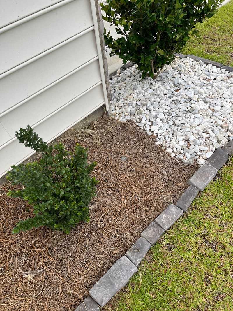 Pest Deterrence Without Chemicals