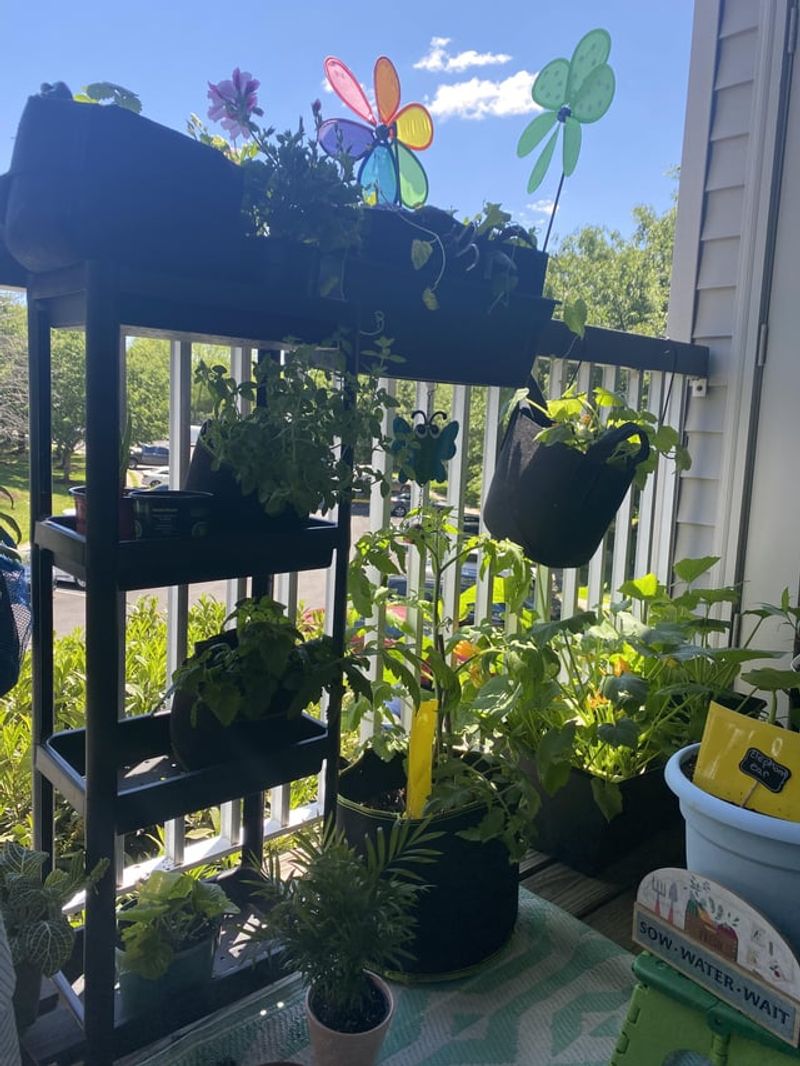Vertical Stacking Creates Living Walls