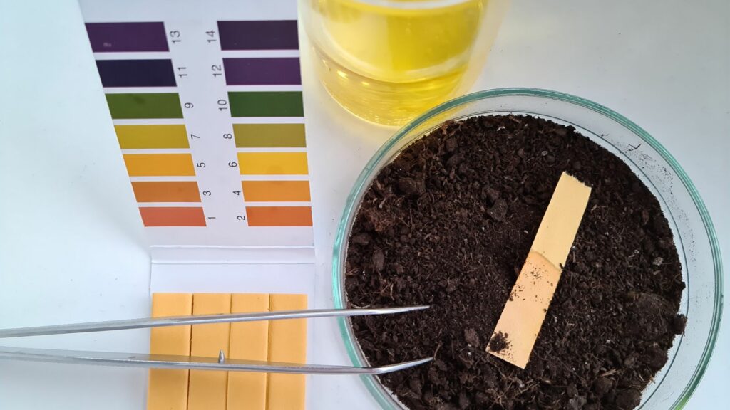 Soil pH
