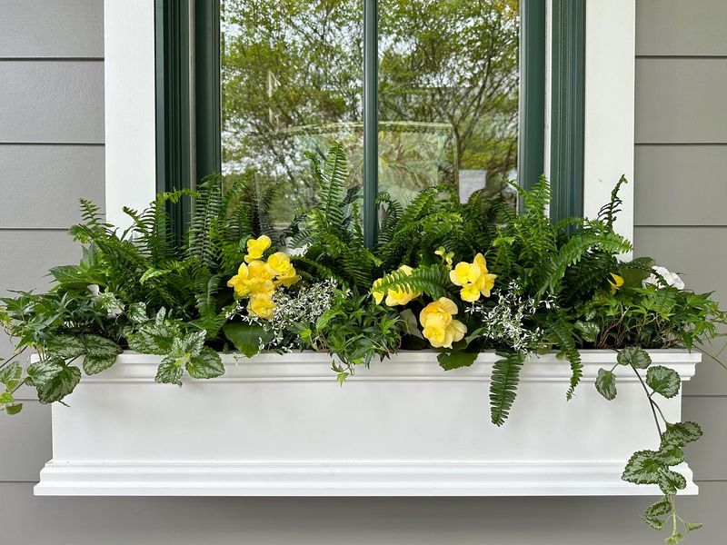 Window Box Addition