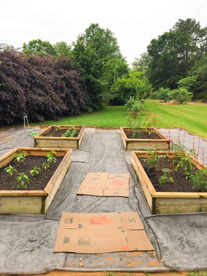 Create Raised Beds with Barriers
