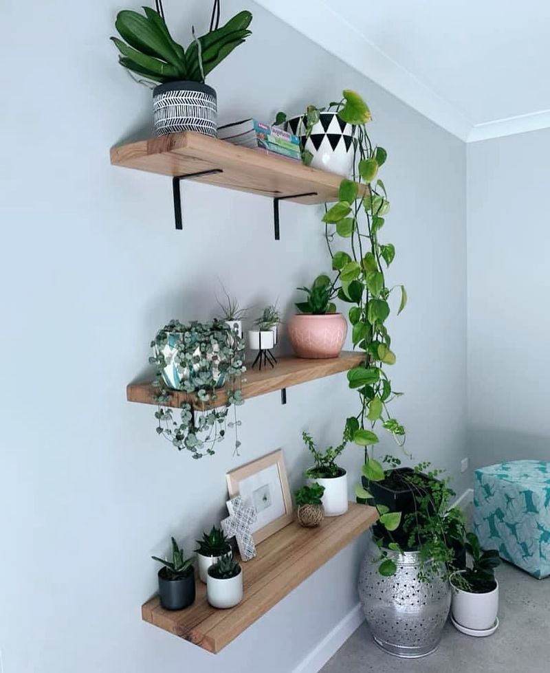 Floating Shelves