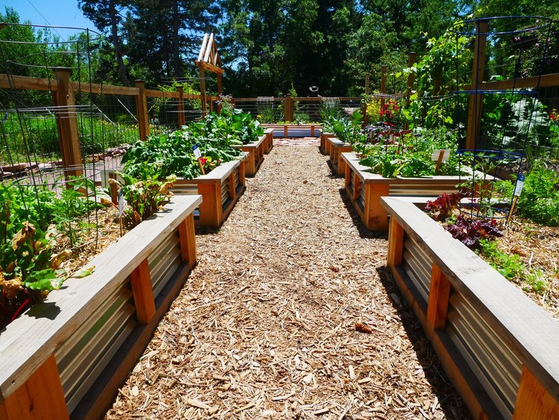 Raised Beds With Excellent Drainage