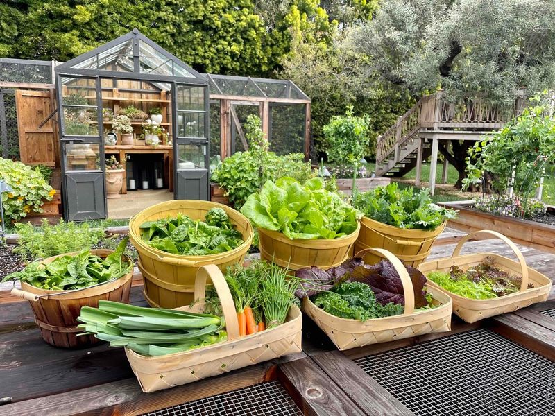 Edible Landscape Premiums