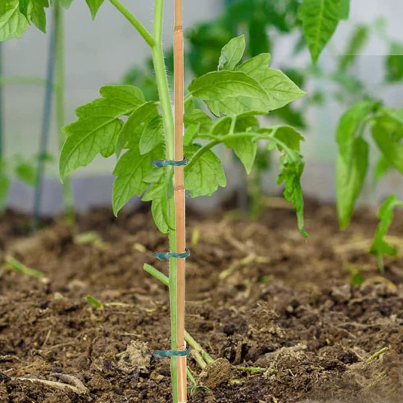Designer Plant Supports vs. Bamboo Stakes