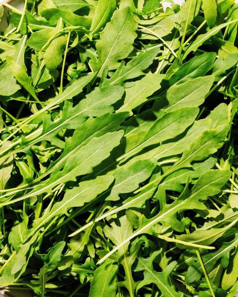 Arugula