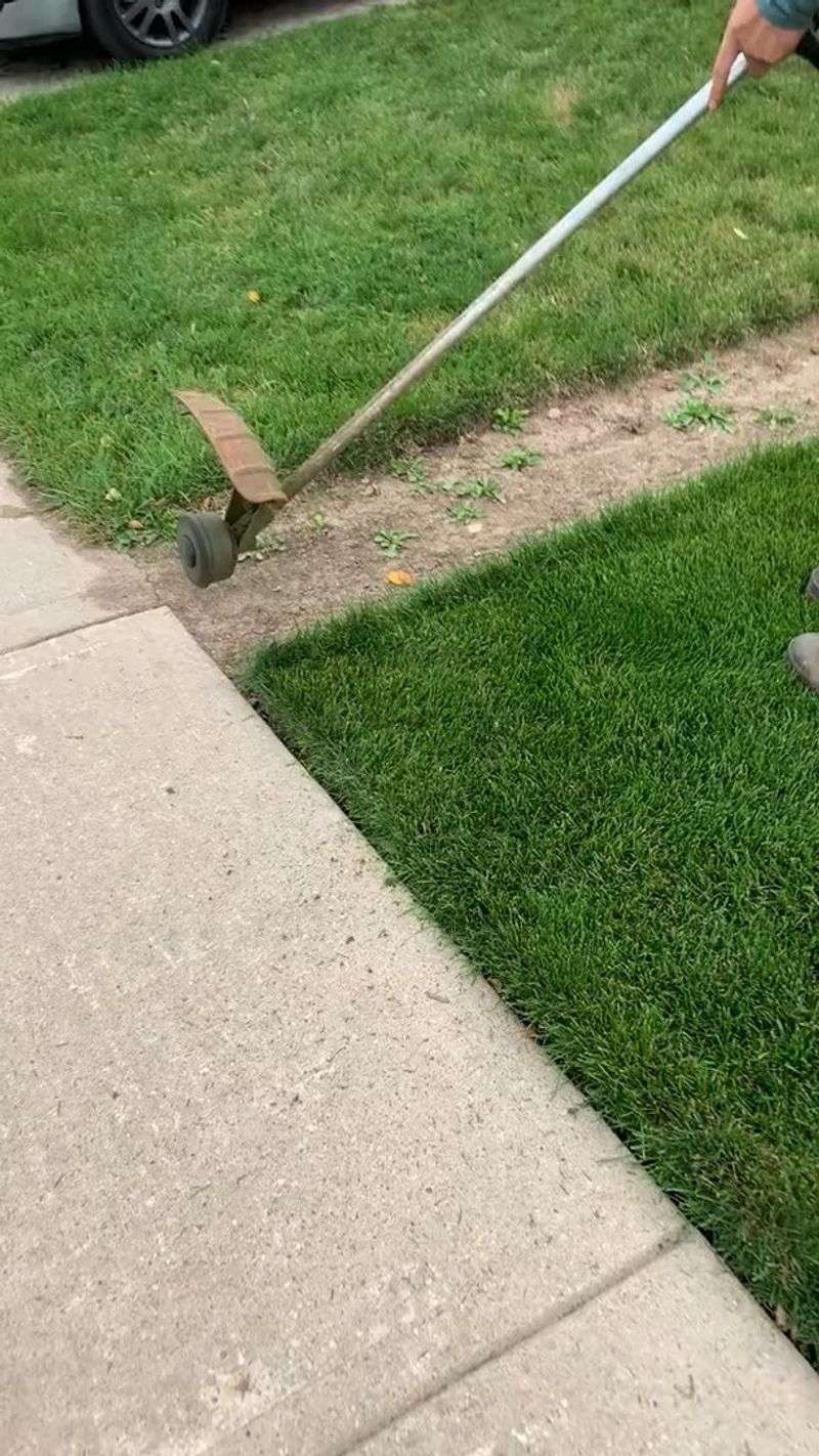Plan And Implement Proper Edging