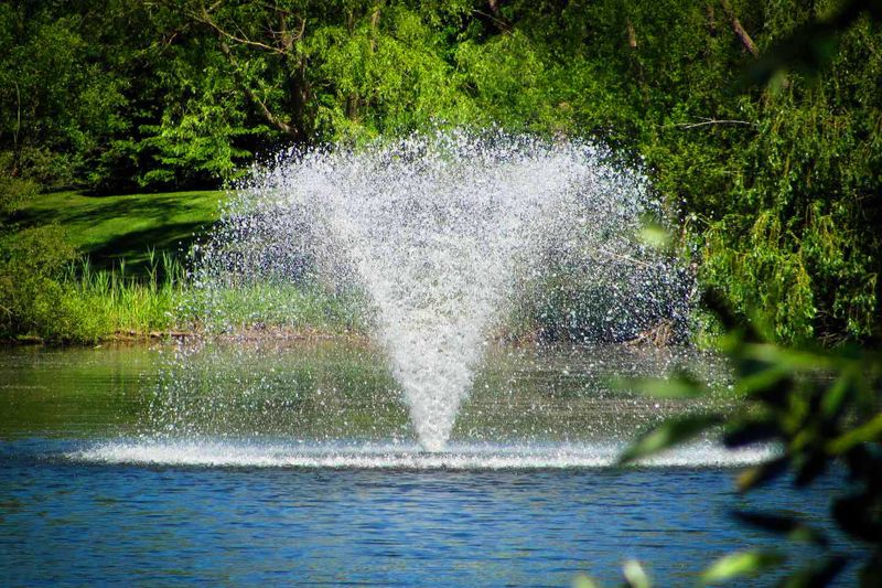 Manage Oxygen Levels During Summer