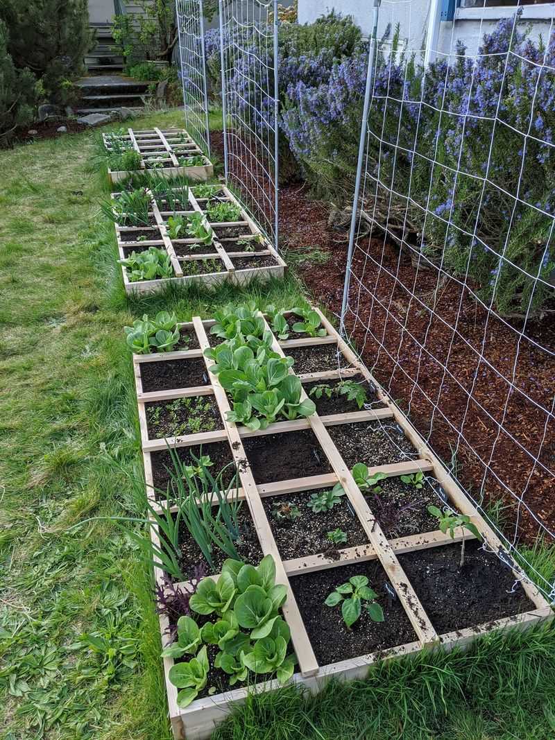 Space Plants Correctly