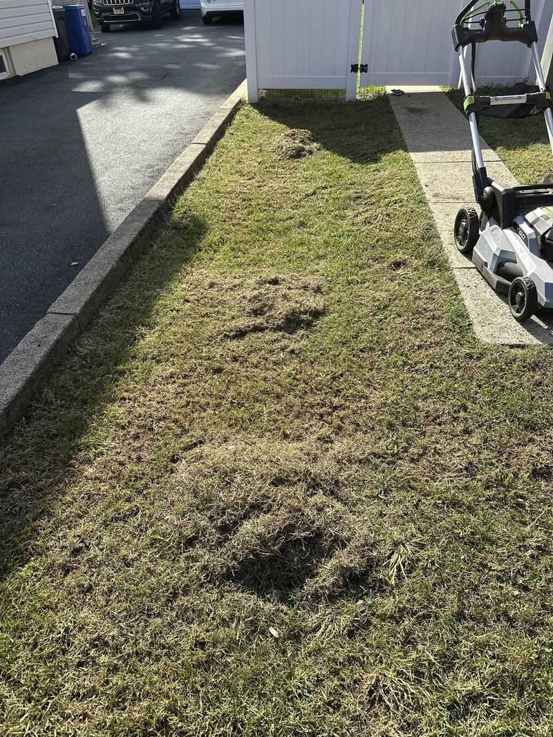 Clean Up Thoroughly