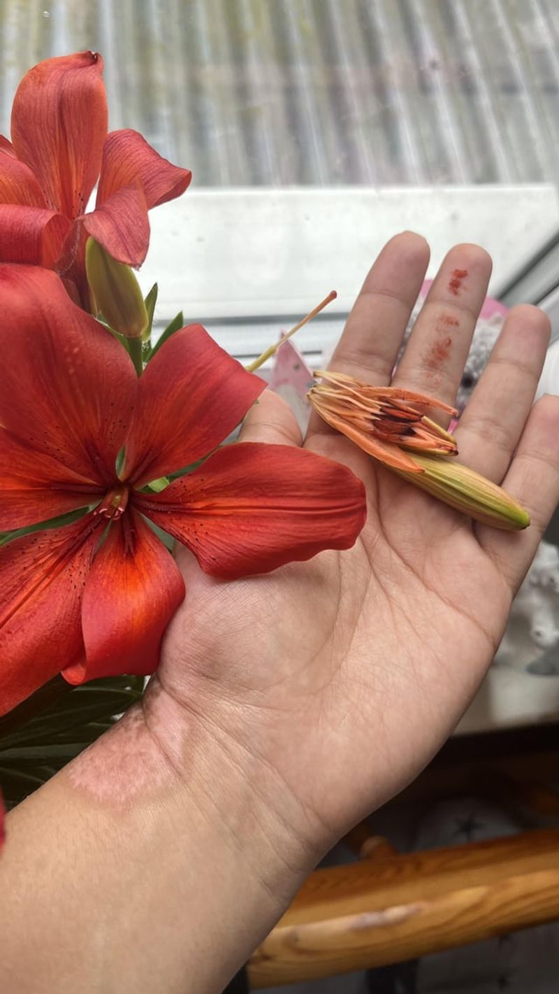 Faded Flowers