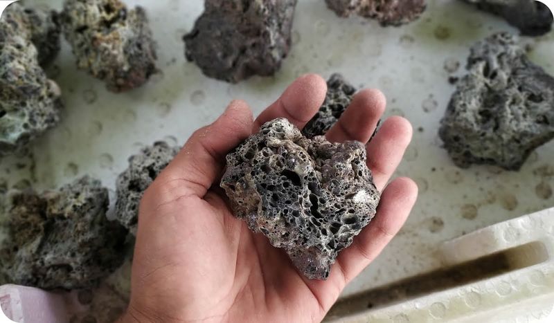Pumice or Lava Rock