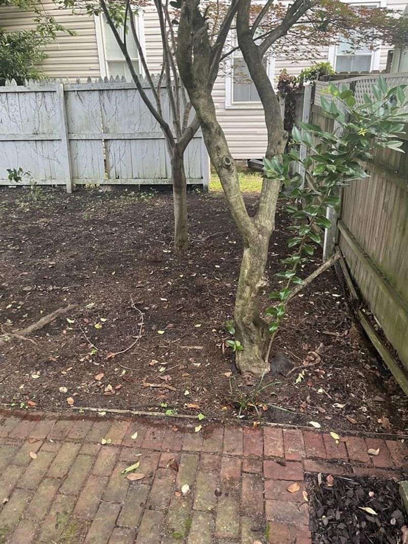Neglected Pathways and Edges