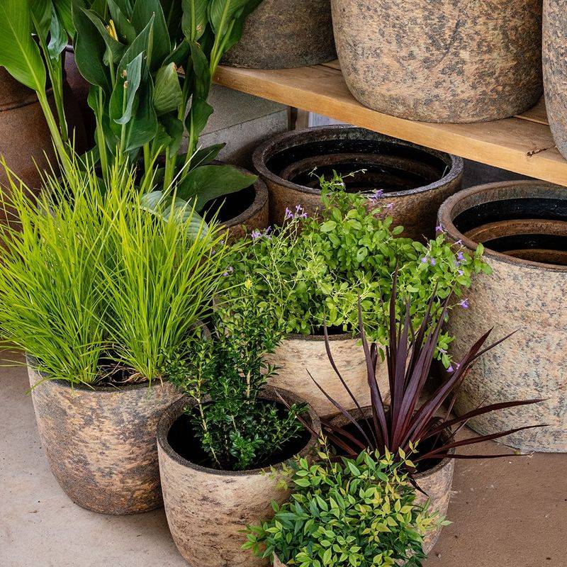 Cluster Potted Plants For Impact