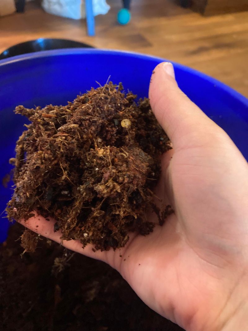Rich Soil Preparation