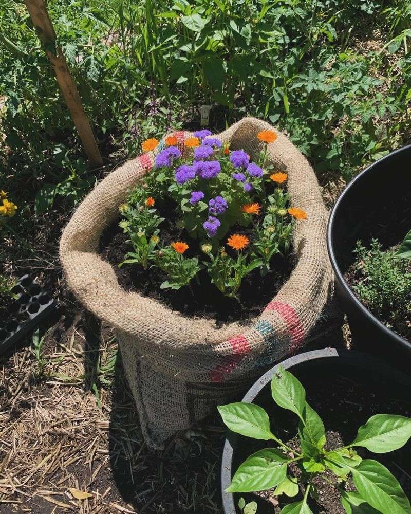 Burlap Sack Gardens