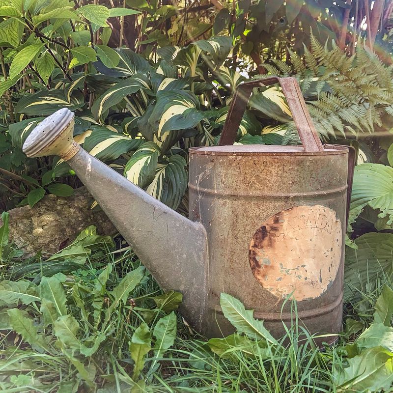 Watering Cans