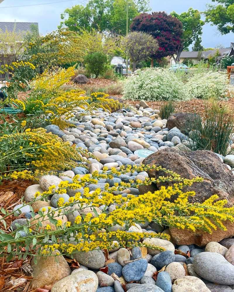 Native Plant Landscaping Boosts Curb Appeal