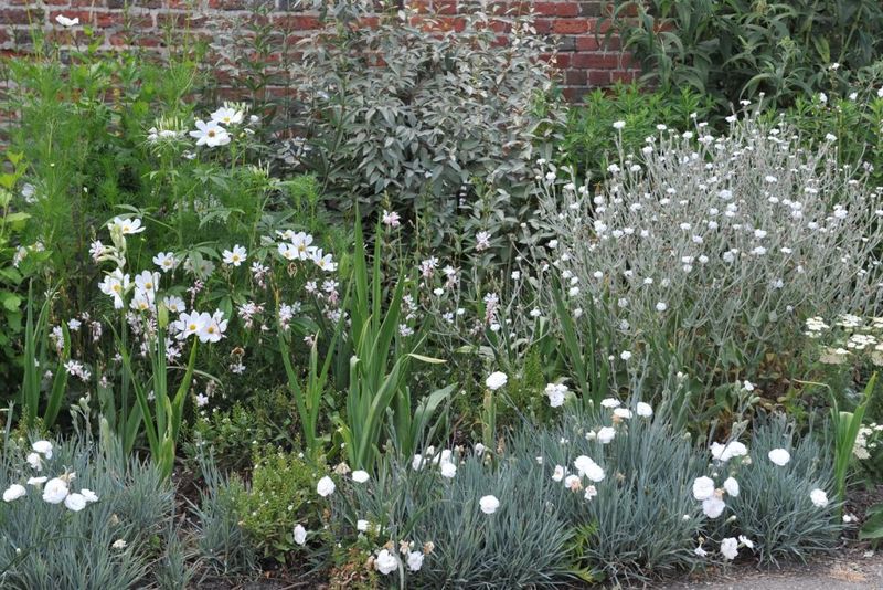 White Garden Block For Evening Glow