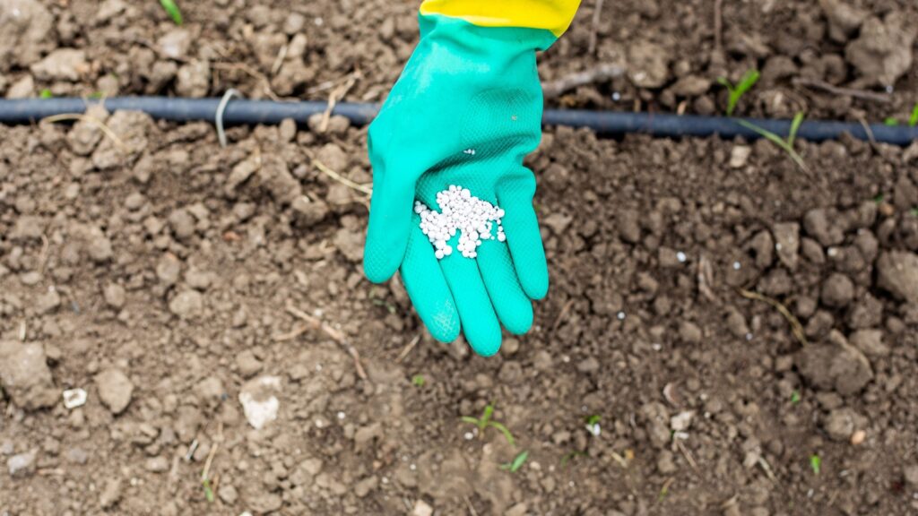 Superphosphate Granules