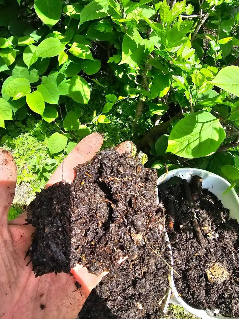 Easy Starting Point for New Composters