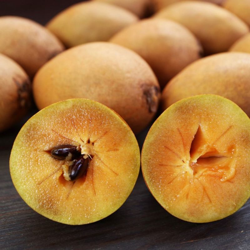 Sapodilla