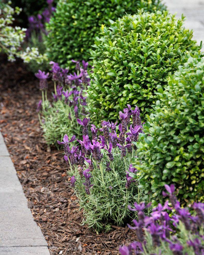 Simple Planting Process