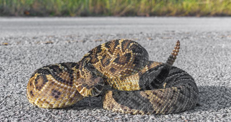 Defensive Posture
