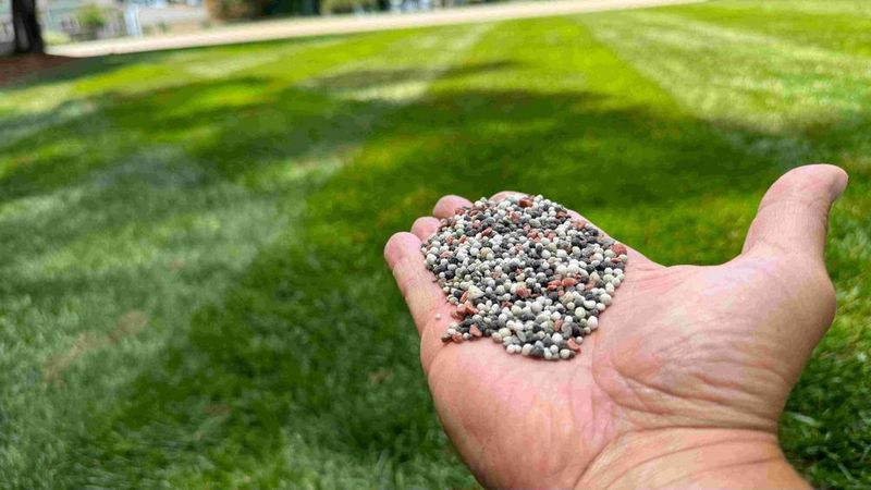 Extended-Release Lawn Pellets
