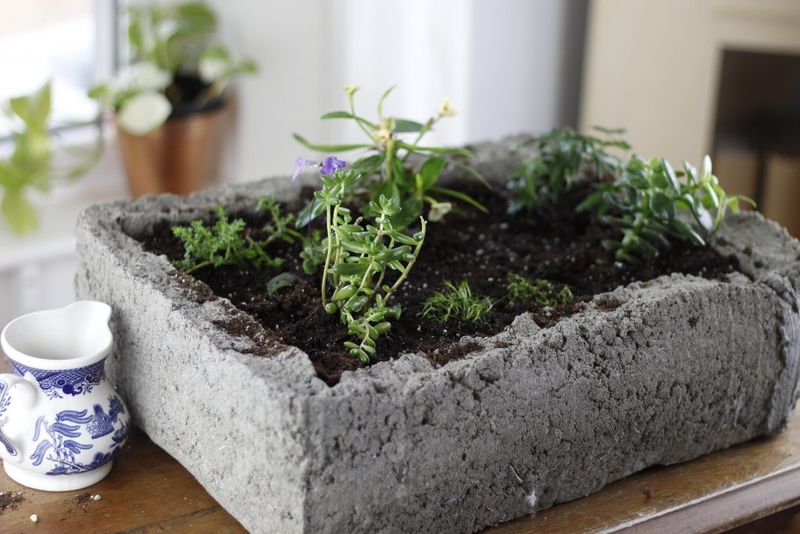 Hypertufa Planting Troughs