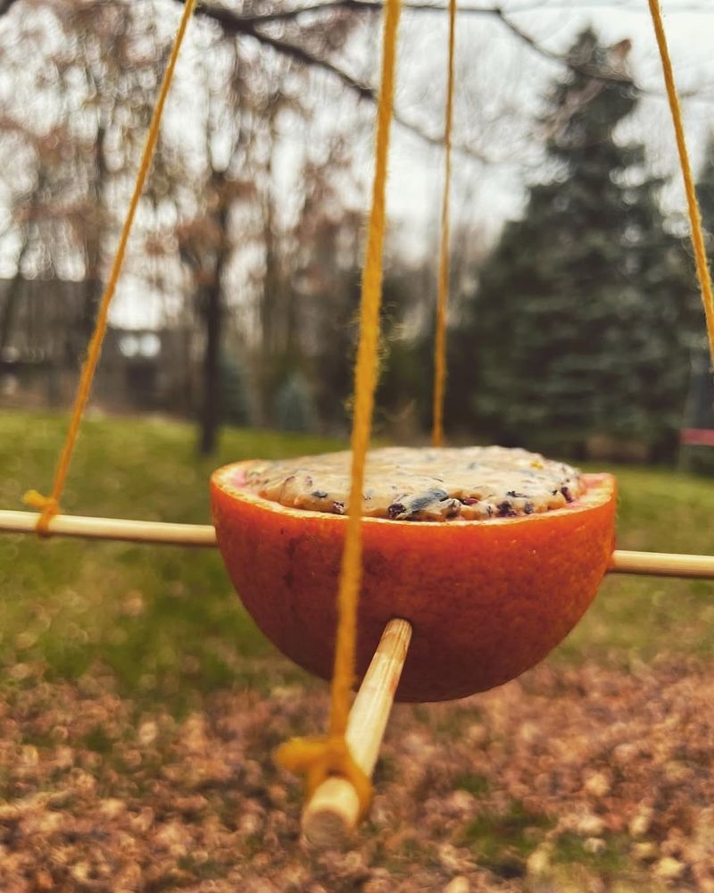 Orange Peel Swing
