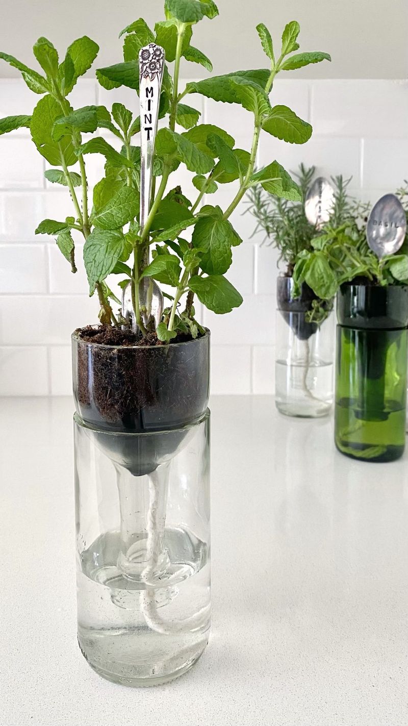 Wine Bottle Planters